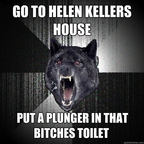 go to helen kellers house  put a plunger in that bitches toilet  Insanity Wolf