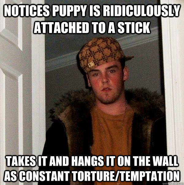 Notices puppy is ridiculously attached to a stick takes it and hangs it on the wall as constant torture/temptation  Scumbag Steve