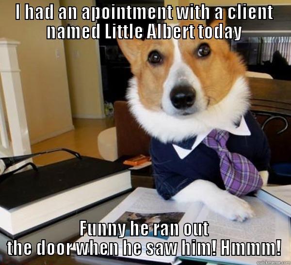 Poor Adult Albert - I HAD AN APOINTMENT WITH A CLIENT NAMED LITTLE ALBERT TODAY FUNNY HE RAN OUT THE DOOR WHEN HE SAW HIM! HMMM! Lawyer Dog