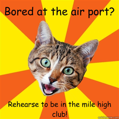 Bored at the air port? Rehearse to be in the mile high club!  Bad Advice Cat