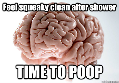 Feel squeaky clean after shower TIME TO POOP  Scumbag Brain