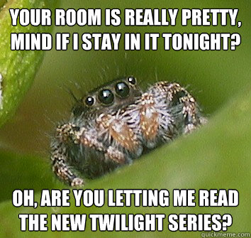 Your room is really pretty, mind if I stay in it tonight? Oh, are you letting me read the new Twilight series?  Misunderstood Spider