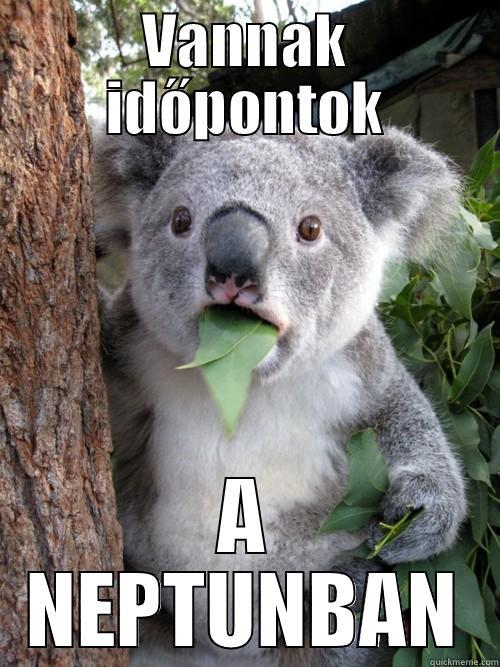 VANNAK IDŐPONTOK A NEPTUNBAN koala bear