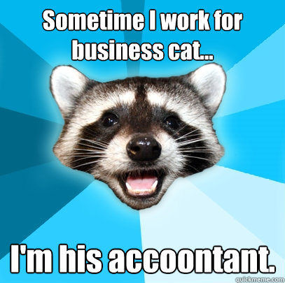 Sometime I work for business cat... I'm his accoontant.  Lame Pun Coon