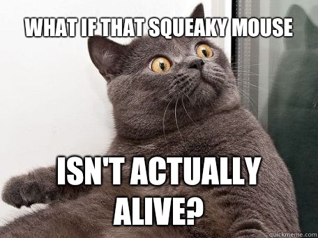 What if that squeaky mouse isn't actually alive?  conspiracy cat