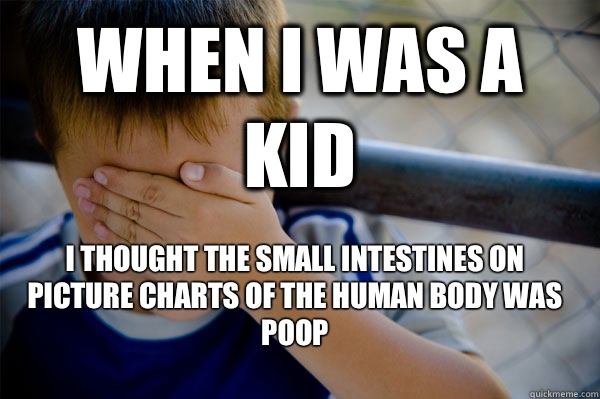 When i was a kid i thought the small intestines on picture charts of the human body was poop  Confession kid