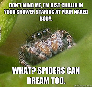 Don't mind me, i'm just chillin in your shower staring at your naked body. What? spiders can dream too.  Misunderstood Spider