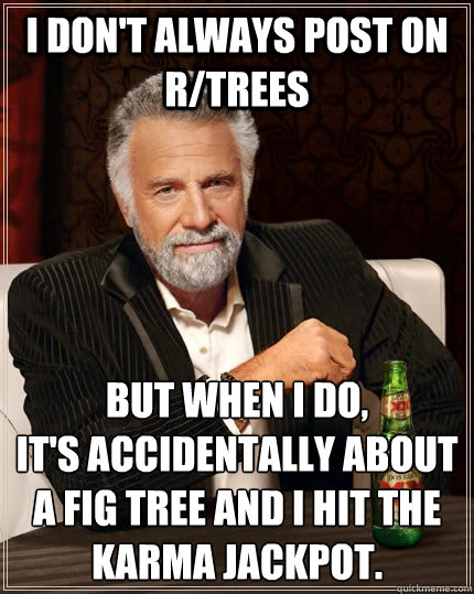 I don't always post on r/trees But when I do, 
It's accidentally about a fig tree and I hit the karma jackpot.  The Most Interesting Man In The World