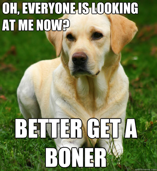 oh, everyone is looking at me now? better get a boner  Dog Logic