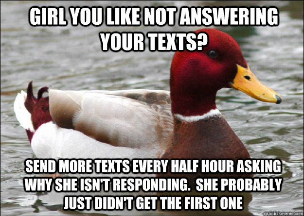 girl you like not answering your texts? Send more texts every half hour asking why she isn't responding.  she probably just didn't get the first one - girl you like not answering your texts? Send more texts every half hour asking why she isn't responding.  she probably just didn't get the first one  Malicious Advice Mallard