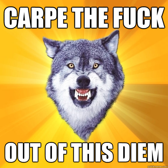 Carpe the Fuck Out of this diem  Courage Wolf