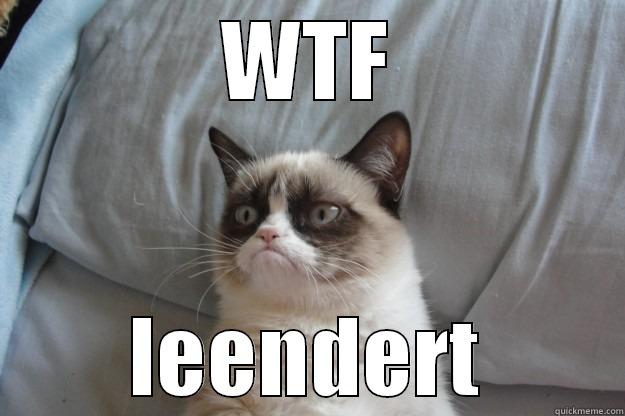 WTF leendert - WTF LEENDERT Grumpy Cat