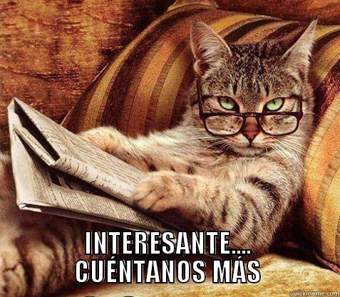 nerdy cat -  INTERESANTE.... CUÉNTANOS MÁS Misc