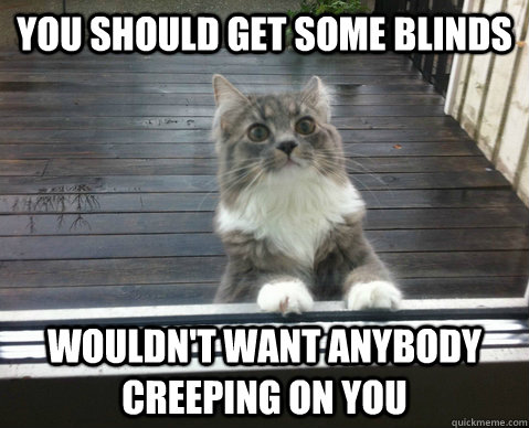 you should get some blinds wouldn't want anybody creeping on you - you should get some blinds wouldn't want anybody creeping on you  creeping cat