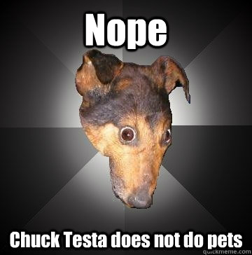 Nope Chuck Testa does not do pets  Depression Dog