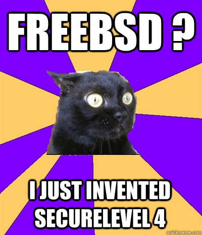 freebsd ? I just invented securelevel 4  Anxiety Cat