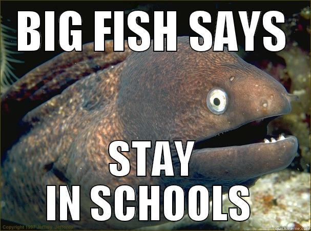 BIG FISH SAYS STAY IN SCHOOLS  Bad Joke Eel