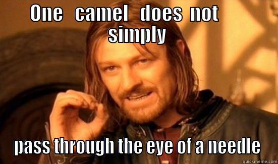 ONE   CAMEL   DOES  NOT        SIMPLY PASS THROUGH THE EYE OF A NEEDLE Boromir