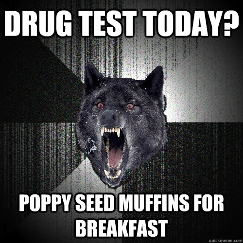 Drug test today? poppy seed muffins for breakfast - Drug test today? poppy seed muffins for breakfast  Insanity Wolf