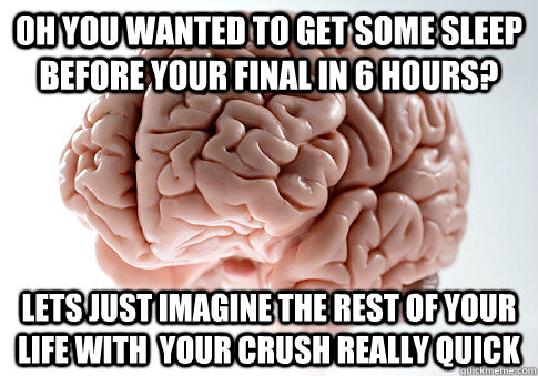 oh you wanted to get some sleep before your final in 6 hours? lets just imagine the rest of your life with  your crush really quick  Scumbag Brain