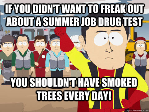 If you didn't want to freak out about a summer job drug test you shouldn't have smoked trees every day!  Captain Hindsight