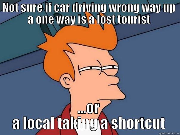 NOT SURE IF CAR DRIVING WRONG WAY UP A ONE WAY IS A LOST TOURIST ...OR A LOCAL TAKING A SHORTCUT Futurama Fry