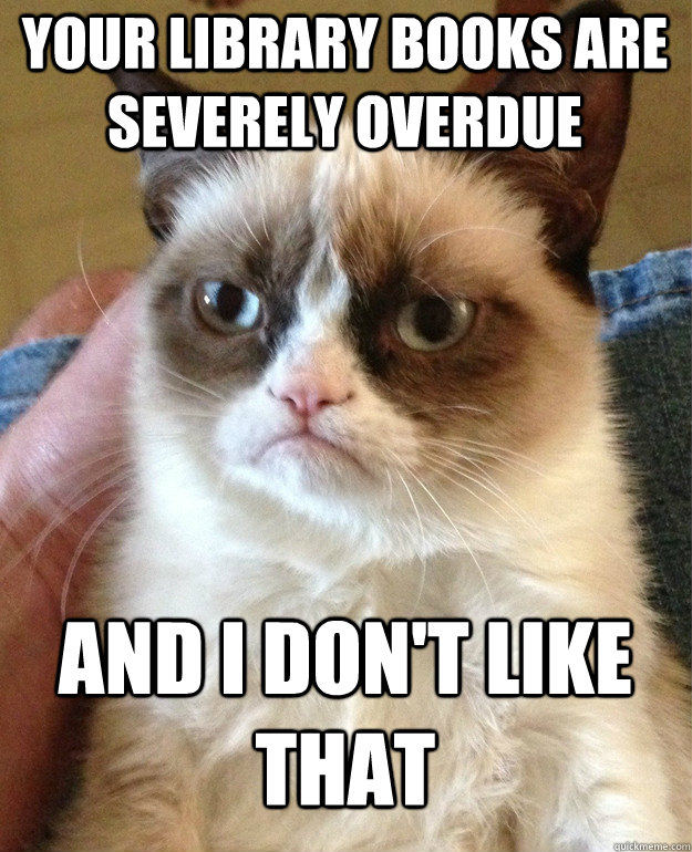 your library books are severely overdue and I don't like that   Grumpy Cat