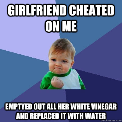 Girlfriend cheated on me Emptyed out all her white vinegar and replaced it with water  Success Kid