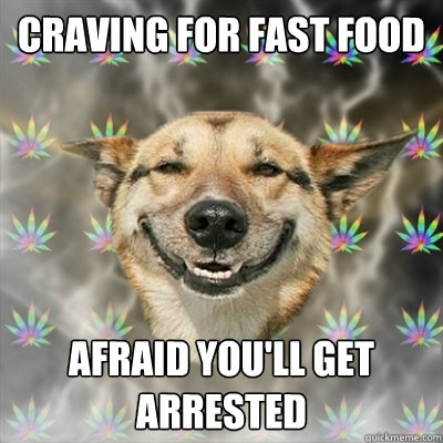 Craving for fast food afraid you'll get arrested   Stoner Dog