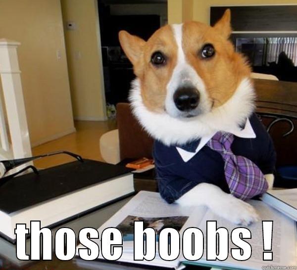  THOSE BOOBS ! Lawyer Dog