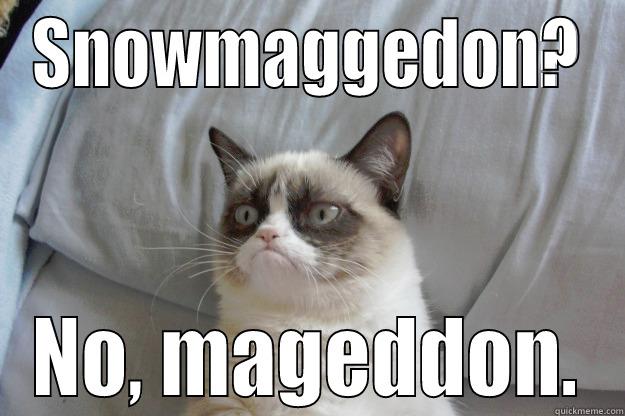 No mageddon - SNOWMAGGEDON? NO, MAGEDDON. Grumpy Cat