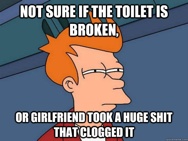 Not sure if the toilet is broken, Or girlfriend took a huge shit that clogged it  Futurama Fry