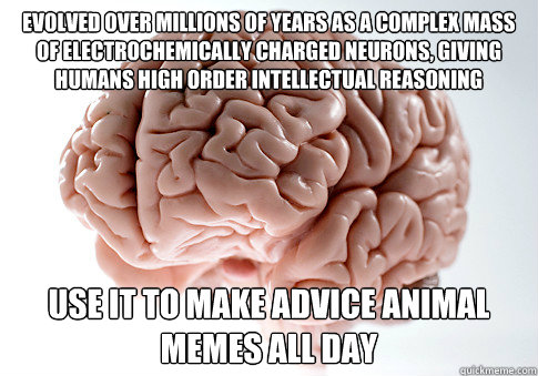 evolved over millions of years as a complex mass of electrochemically charged neurons, giving humans high order intellectual reasoning use it to make advice animal memes all day  Scumbag Brain