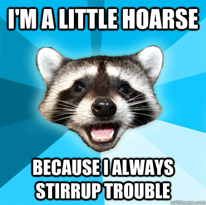 I'm a little hoarse Because i always stirrup trouble - I'm a little hoarse Because i always stirrup trouble  Lame Pun Coon