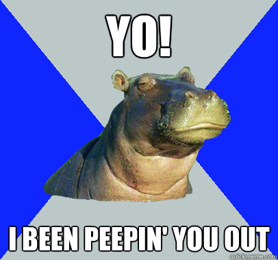 yo! i been peepin' you out  Skeptical Hippo