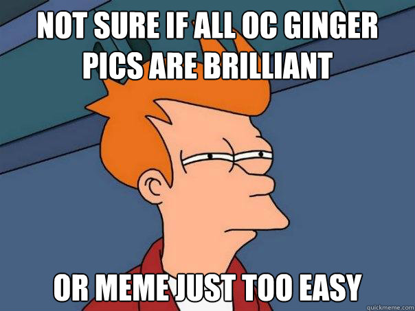 Not sure if all OC Ginger pics are brilliant or meme just too easy  Futurama Fry