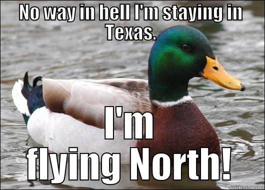 Go Bucks!!! - NO WAY IN HELL I'M STAYING IN TEXAS. I'M FLYING NORTH! Actual Advice Mallard