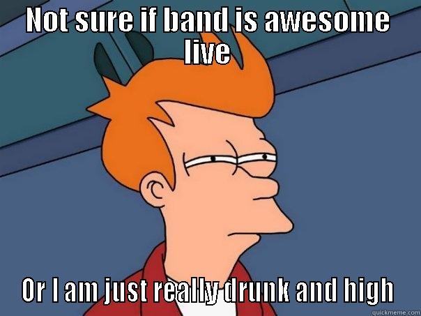 download fest good live band? - NOT SURE IF BAND IS AWESOME LIVE OR I AM JUST REALLY DRUNK AND HIGH Futurama Fry