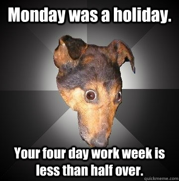 Monday was a holiday. Your four day work week is less than half over.  Depression Dog