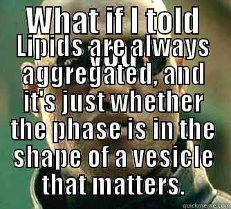 Lipid Morph-ology - WHAT IF I TOLD YOU LIPIDS ARE ALWAYS AGGREGATED, AND IT'S JUST WHETHER THE PHASE IS IN THE SHAPE OF A VESICLE THAT MATTERS. Matrix Morpheus