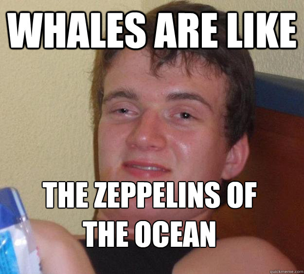Whales are like the zeppelins of the ocean
 - Whales are like the zeppelins of the ocean
  10 Guy