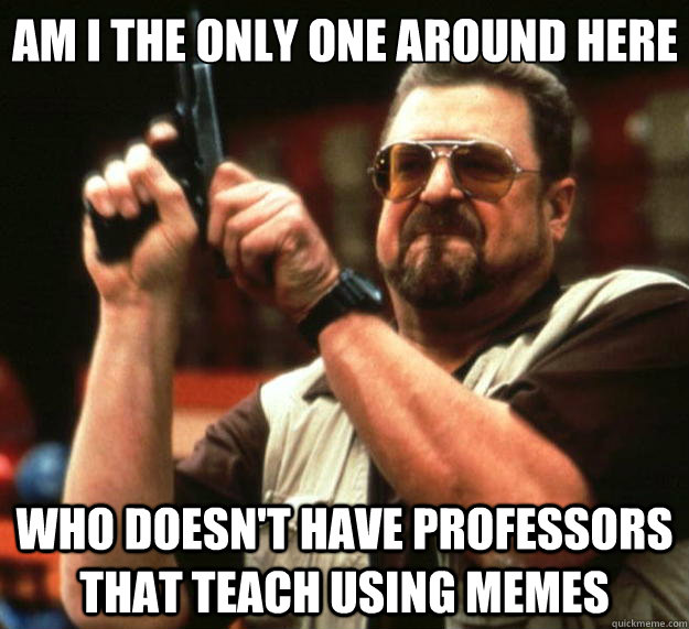 Am I the only one around here who doesn't have professors that teach using memes  Big Lebowski