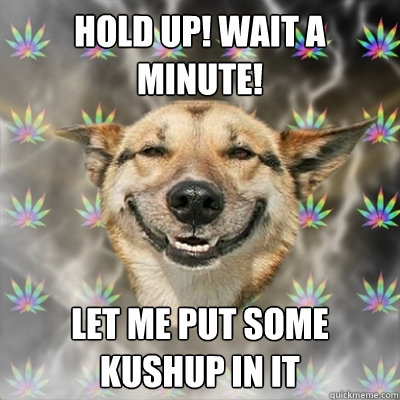 Hold Up! Wait a minute! Let me put some kushup in it  Stoner Dog