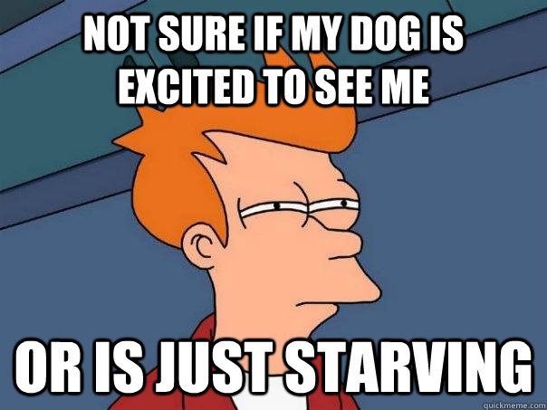 Not sure if my dog is excited to see me or is just starving - Not sure if my dog is excited to see me or is just starving  Futurama Fry