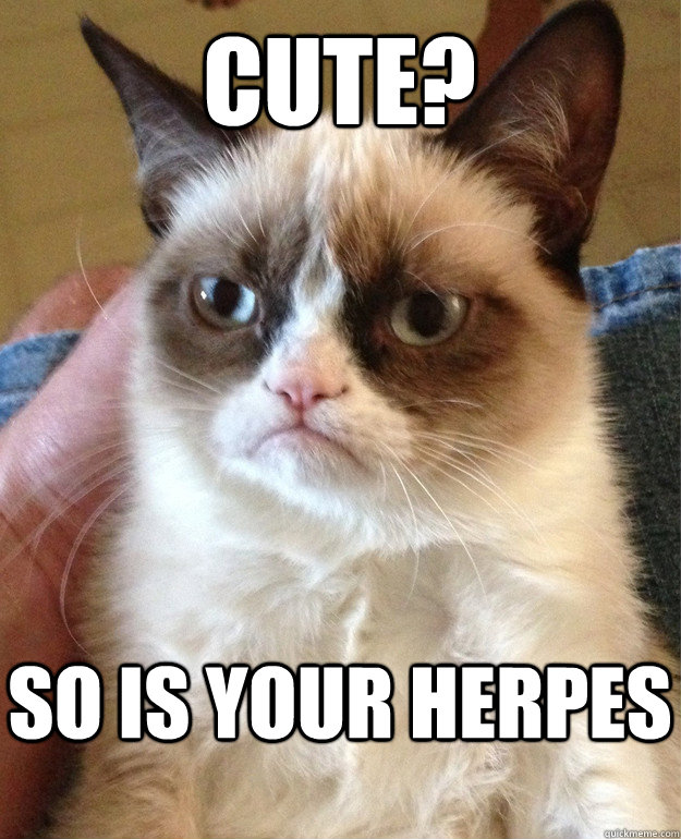 Cute? So is your herpes  Grumpy Cat