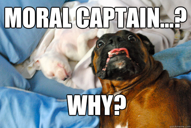 Moral Captain...? Why?   Surprised Dog