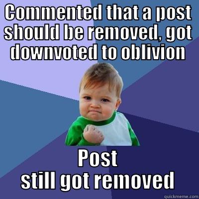 COMMENTED THAT A POST SHOULD BE REMOVED, GOT DOWNVOTED TO OBLIVION POST STILL GOT REMOVED Success Kid