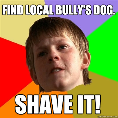 Find local bully's dog. Shave it!  Angry School Boy