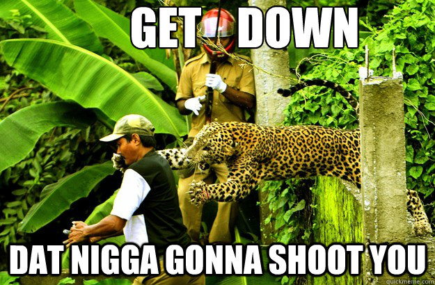 get    down dat nigga gonna shoot you  Honest Leopard