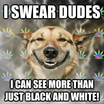 I swear dudes I can see more than just black and white!  Stoner Dog